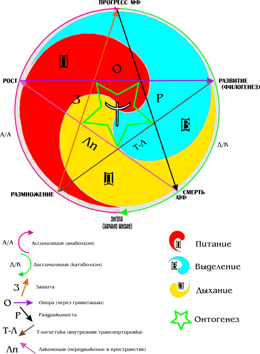 Надеюсь обойтись без коменс...