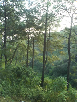 Часть ущелья.