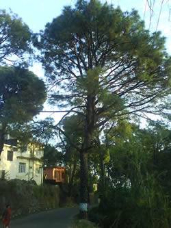 Небольшое поселение в конце ущелья.