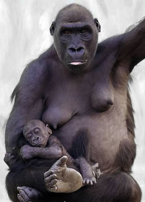 Кто нам не верит?