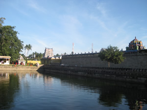 Пруд, который просто ишит рыбами.