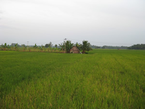 В этом месте мнебы хотелось построить Ашрам йоги. Оно находится около храма Луны, недалеко от Танджавура.