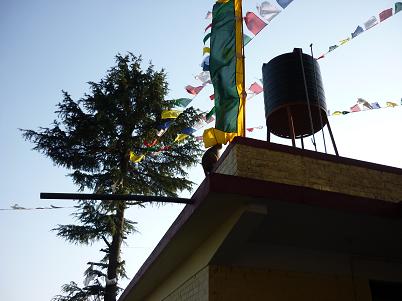 Еще одна обезьянка, тоже, видимо, в предвкушении купания-:)))