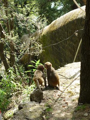 Практически застигнуты врасплох!!!!! -:))))))))))))