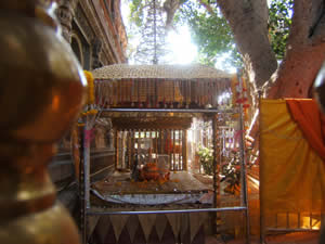 Алтарь по деревом Бодхи<br />Это то самое место где Будда получил Просветление.