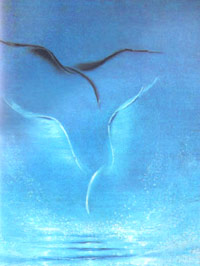 ����� � ���