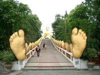 ���� �����