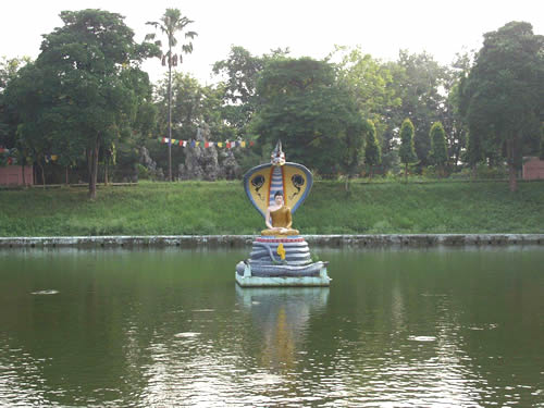 ���� �������� �����