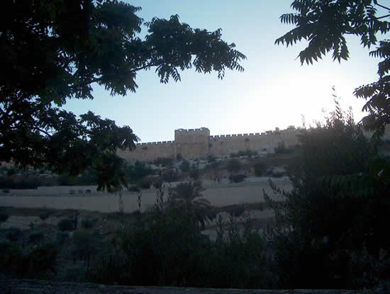 ������������ ���