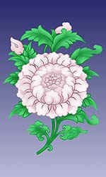 ������ ������